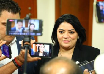 Propone Diputada Úrsula Salazar  techos verdes en Tamaulipas