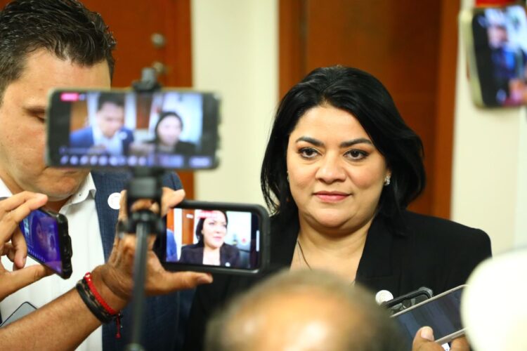 Propone Diputada Úrsula Salazar  techos verdes en Tamaulipas