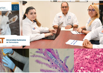 La UAT lanza la primera edición de la revista Ciencias  Veterinarias y Producción Animal