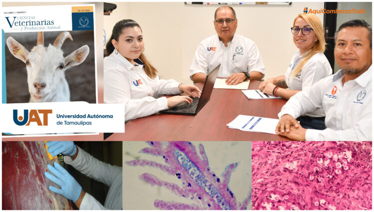 La UAT lanza la primera edición de la revista Ciencias  Veterinarias y Producción Animal