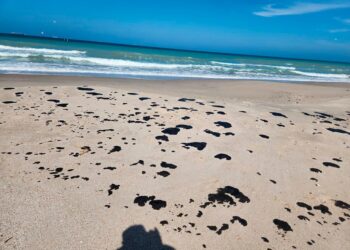 Vigilan Gobierno Federal y SEDUMA presencia de hidrocarburo en playas de Tamaulipas