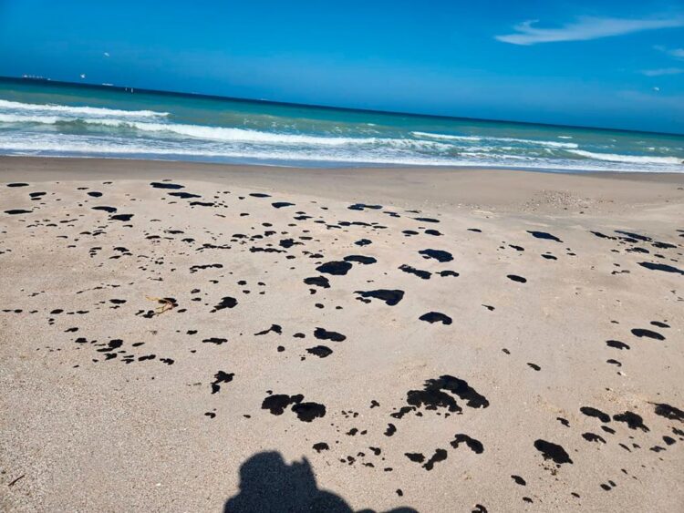Vigilan Gobierno Federal y SEDUMA presencia de hidrocarburo en playas de Tamaulipas