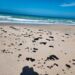 Vigilan Gobierno Federal y SEDUMA presencia de hidrocarburo en playas de Tamaulipas