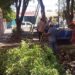 Siguen acciones para restablecer la tranquilidad en fraccionamiento San Luisito