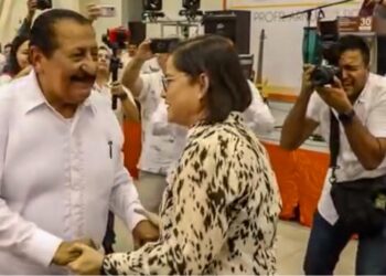 Congreso, otro revés para el PAN