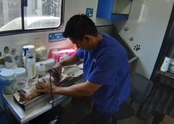 Garantiza Alcalde Carlos Peña Ortiz, salud y bienestar de mascotas