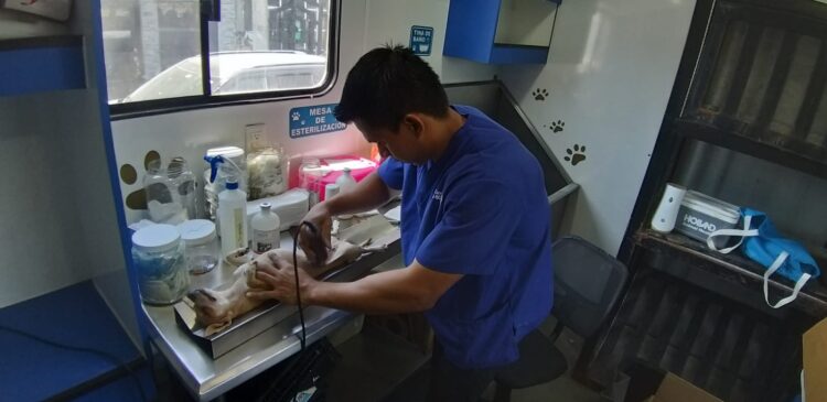 Garantiza Alcalde Carlos Peña Ortiz, salud y bienestar de mascotas