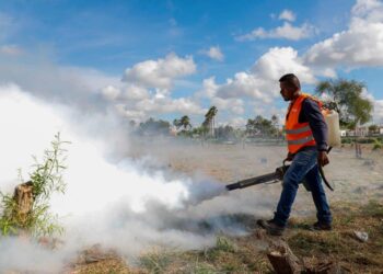 Fumigó el Gobierno de Reynosa calichera de Balcones de Alcalá