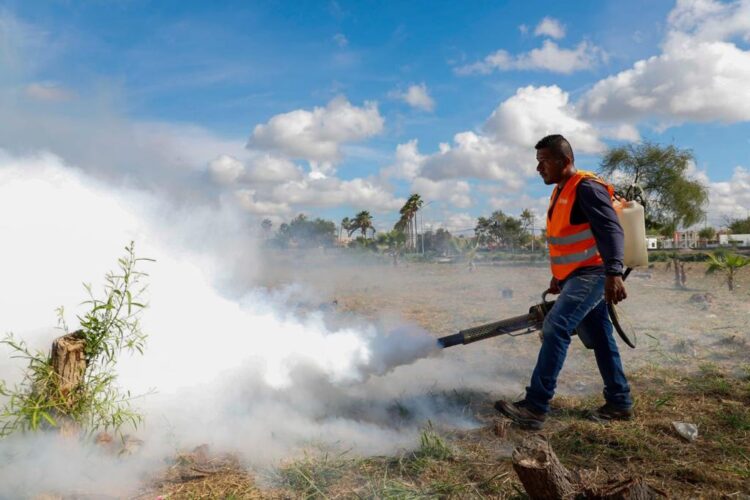 Fumigó el Gobierno de Reynosa calichera de Balcones de Alcalá