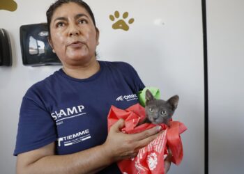 Impulsa Gobierno de Reynosa el cuidado animal