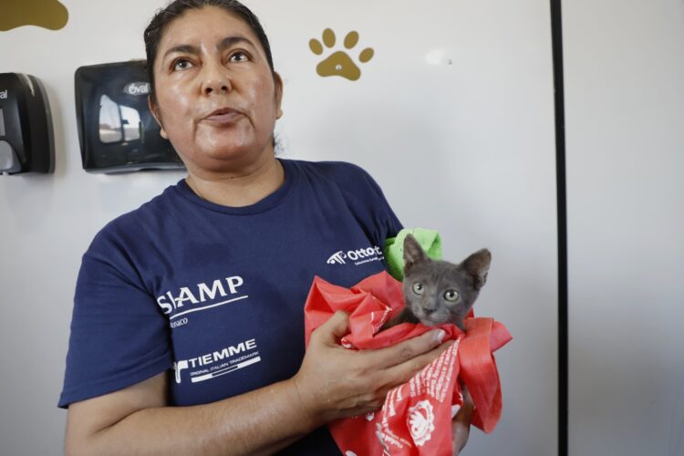 Impulsa Gobierno de Reynosa el cuidado animal