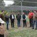 Llegan 90 mil plantas de henequén de Yucatán; vuelve el «oro blanco»