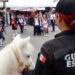 Los niños quieren tomarse fotos con «Palomita»