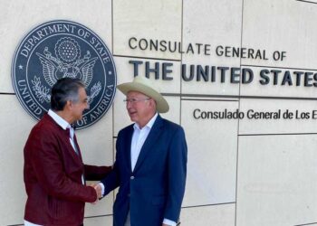 Las golondrinas para el Auditor “carnal”
