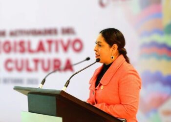 Ante constantes maltratos, diputada pide crear el Instituto del Hombre de Tamaulipas