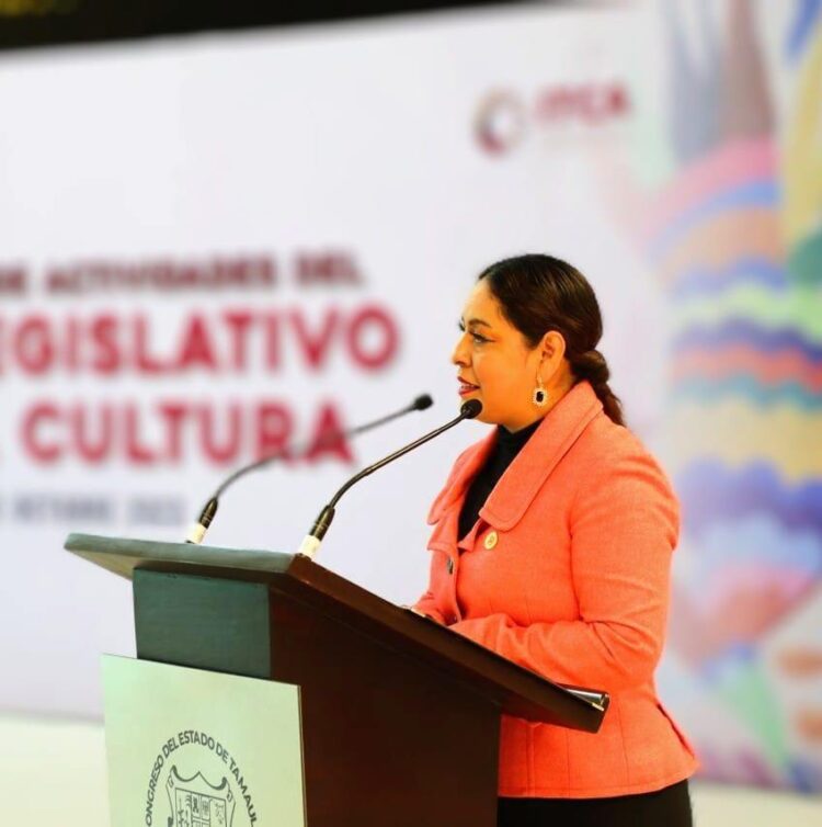 Ante constantes maltratos, diputada pide crear el Instituto del Hombre de Tamaulipas