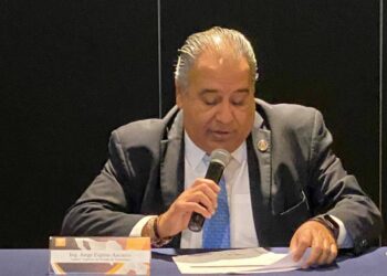 Los alcaldes “pillos” del Auditor