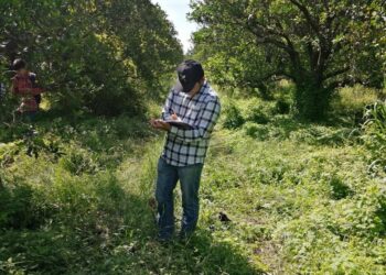 Desarrolla UAT proyecto para evaluar residuos contaminantes de agroquímicos en suelo