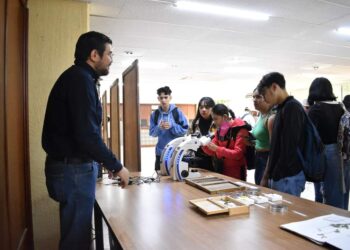 Identifica UAT plantas con potencial bioinsecticida