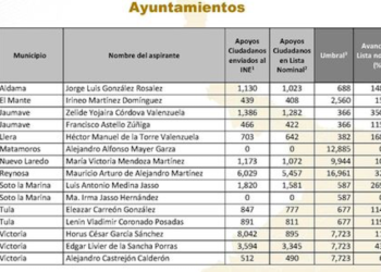 Independientes: 7 superan primer obstáculo por alcaldías