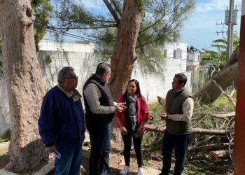 Restaurará ITIFE escuelas del sur afectadas por vientos