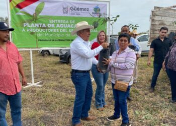 «La semilla está sembrada, en un futuro Guémez será aguacatero»: Lorenzo Morales