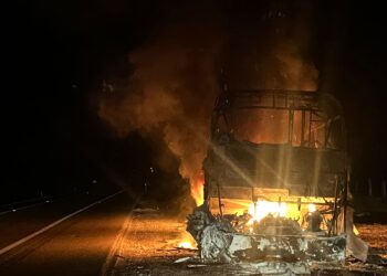 Se incendia de autobús en Carretera Federal 81