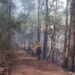Unen esfuerzos para combatir incendio forestal en Hidalgo, Tamaulipas