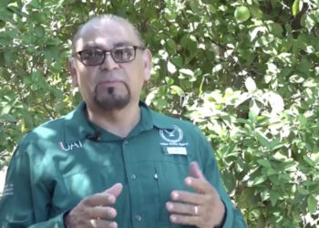 Aporta UAT innovaciones para la producción citrícola en Tamaulipas