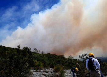 Extinguen en Tamaulipas dos incendios forestales