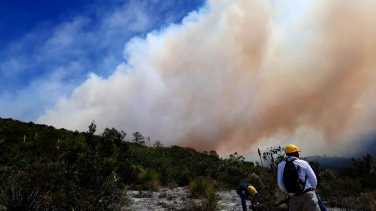 Extinguen en Tamaulipas dos incendios forestales