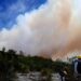 Extinguen en Tamaulipas dos incendios forestales