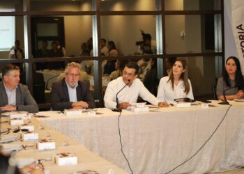 Gobierno de Victoria abre la puerta a inversionistas de Francia