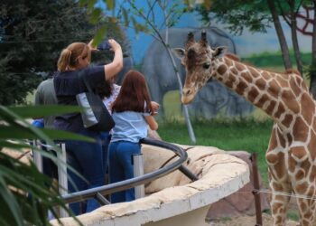 Zoológico de Tamatán cumplirá primeros 80 años