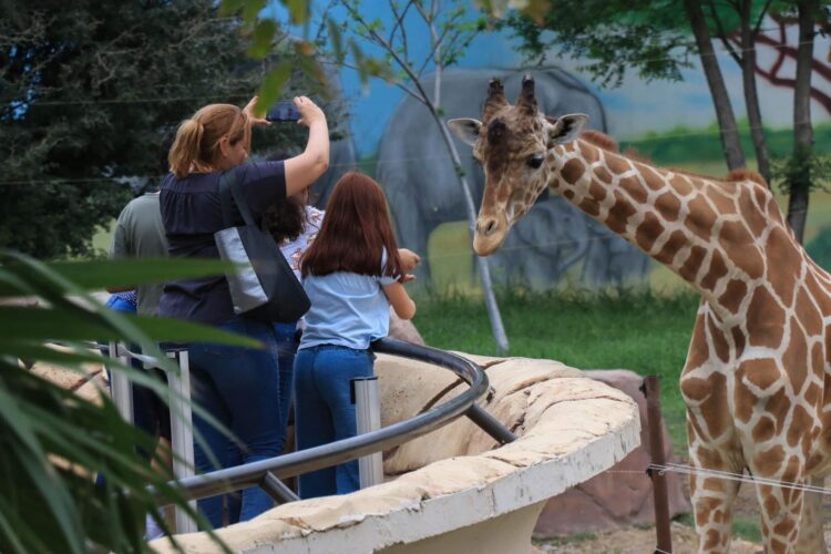 Zoológico de Tamatán cumplirá primeros 80 años
