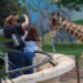 Zoológico de Tamatán cumplirá primeros 80 años