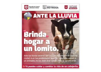 Novedades: Saldo blanco