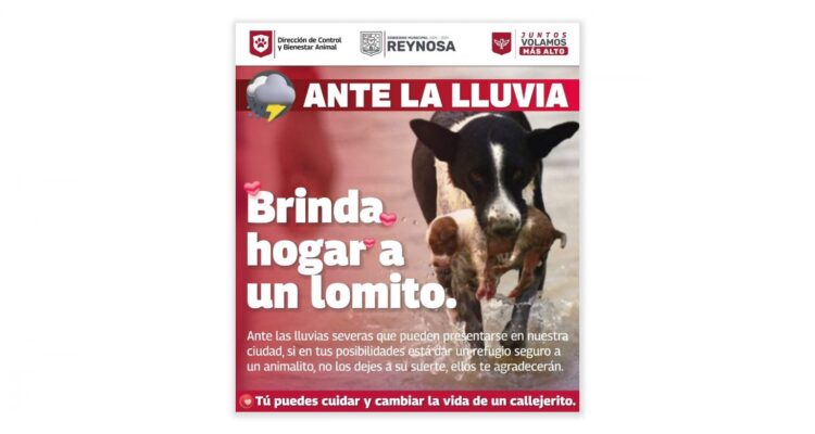 Novedades: Saldo blanco