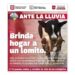 Novedades: Saldo blanco