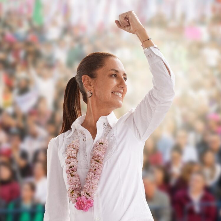 Adiós a la reelección