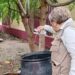 Llama SST a participación comunitaria para prevenir el dengue