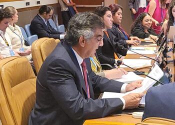 Américo en la ONU