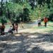 3 mil paseantes visitan y disfrutan centros recreativos de Victoria
