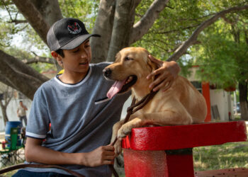 Pondrá la UAT en adopción héroes caninos
