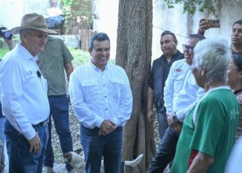 Gobierno de Victoria suma esfuerzos en acciones de prevención y control de dengue