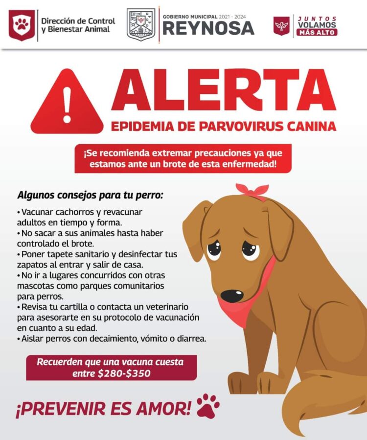 Ayuntamiento alerta de epidemia de parvovirus canino en Reynosa