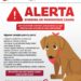 Ayuntamiento alerta de epidemia de parvovirus canino en Reynosa