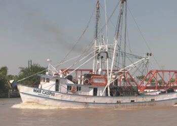 Flota camaronera de tamaulipas, la más grande del Golfo de México