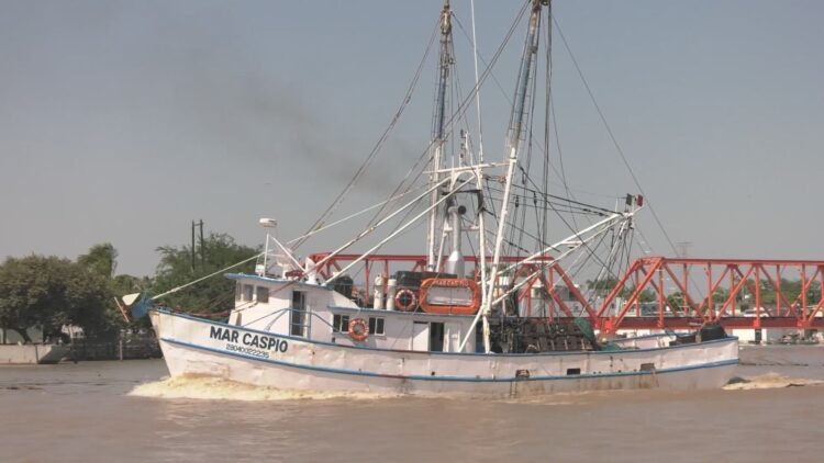 Flota camaronera de tamaulipas, la más grande del Golfo de México