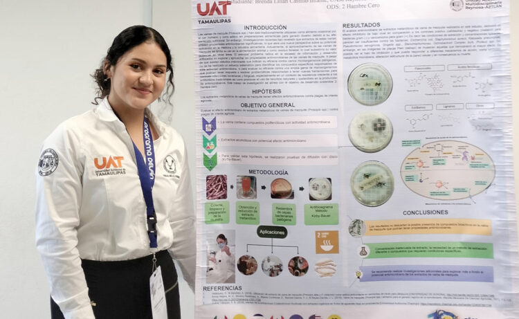 Alumna de la UAT estudia el potencial antimicrobiano de la vaina de mezquite